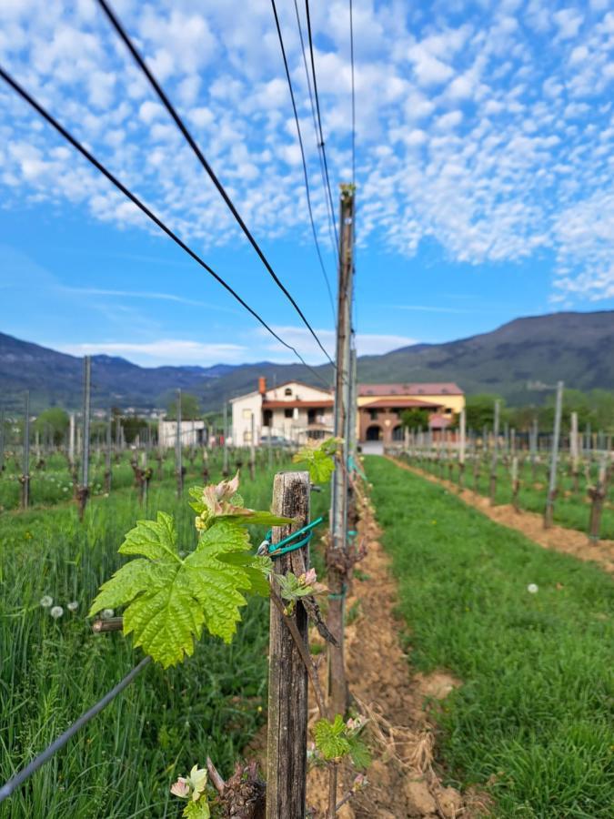 Posestvo Rouna - Winery And Apartments Vipava Exteriér fotografie