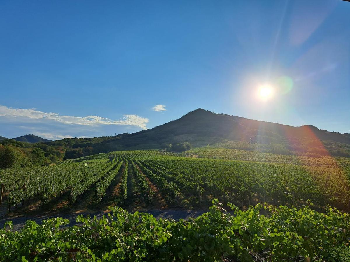 Posestvo Rouna - Winery And Apartments Vipava Exteriér fotografie