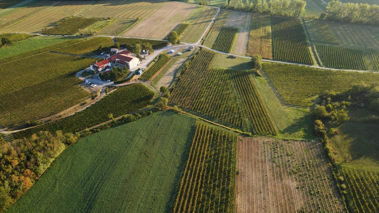 Posestvo Rouna - Winery And Apartments Vipava Exteriér fotografie